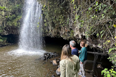 内罗毕：3日阿伯达雷国家公园经济型Safari内罗毕：3天阿伯达雷国家公园经济型Safari之旅