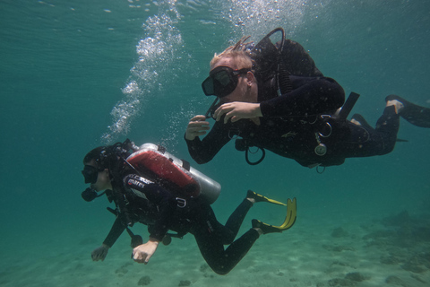 Padi Open Water Diver Course