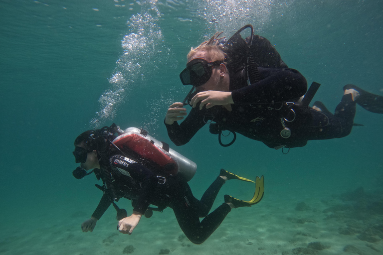 Padi Open Water Diver Course