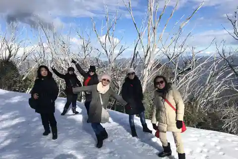 Fra Melbourne: Mt Buller Snow Day Small Group Boutique Tour