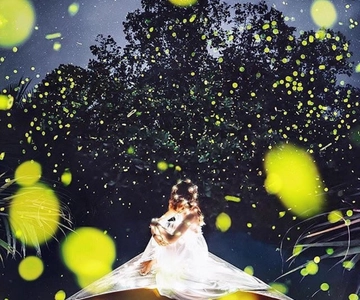 Bohol: Firefly Watching River Cruise with Hotel Pickup