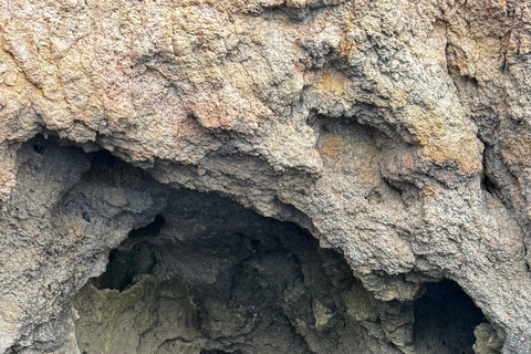 Lagos: Ponta da Piedade Sunset Boat Tour