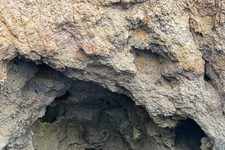 Lagos: Ponta da Piedade Sunset Boat Tour