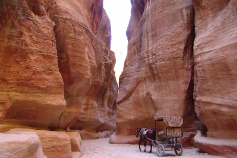 Desde Ammán : Excursión de día completo a ( Madaba - Nebo - Petra )