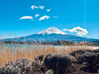 Tokyo, Private Mt fuji sightseeing tour with English driver - Housity