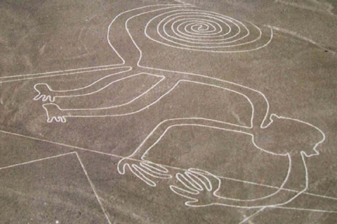 Nazca: overvlucht van de Nazca-lijnenOvervlucht van de Nazca-lijnen - 30 minuten