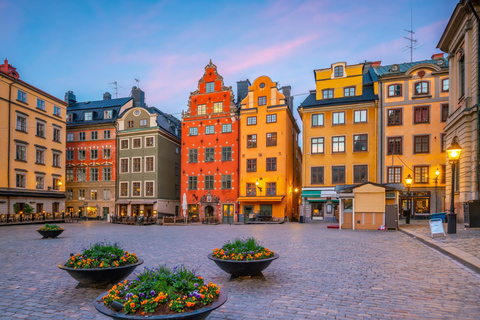 Visite de la vieille ville de Stockholm, du palais royal et du musée Vasa4 heures : Vieille ville, Kungsträdgården et Palais royal