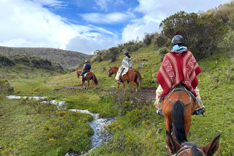 Quito: Cotopaxi National Park Tour and Horseback Ride