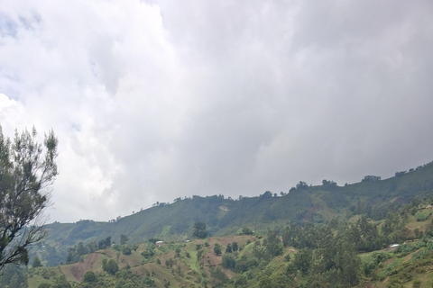 From Addis Ababa: Wonchi Crater Lake with Boat Ride