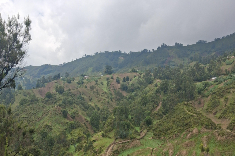 From Addis Ababa: Wonchi Crater Lake with Boat Ride