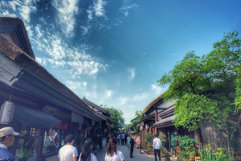 Shanghai: Wuxi Lingshan Grand Buddha & Nianhua Bay Tour