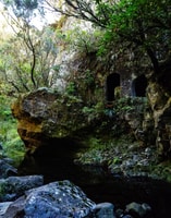 Do you want to get to know Rabaçal in a different way? - Housity