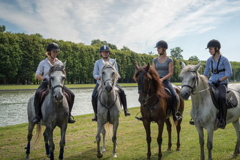 Przejażdżka konna Wersal Intymność &amp; ViPKoń Versailles Intymność &amp; Vip