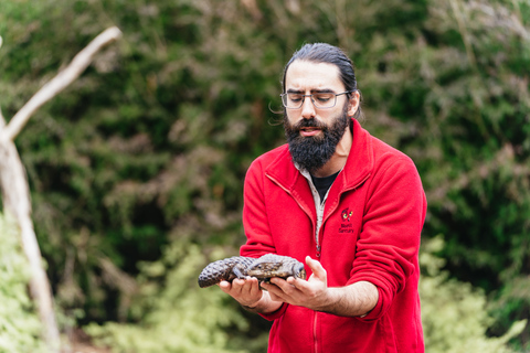 Von Melbourne aus: Phillip Island Eco Wildlife TourAb Melbourne: Öko-Wildlife-Tour auf Phillip Island