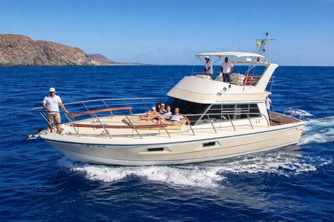 Tenerife: Private Yacht Charter for Whale and Dolphin Watching, with Lunch and Swim Tenerife: Private yacht rental for whale watching with food and a swim