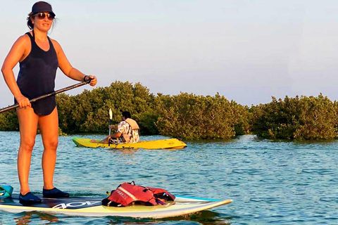 Al Khor: Kajakpaddling i mangroveskogen