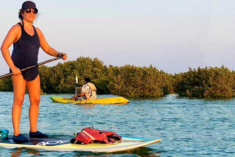 Al Khor: Kajakpaddling i mangroveskogen