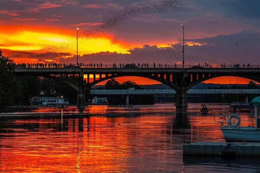 Austin: Kajaktour zur Fledermausbeobachtung bei Sonnenuntergang. Foto: GetYourGuide Austin: Kajaktour zur Fledermausbeobachtung bei Sonnenuntergang. Foto: GetYourGuide