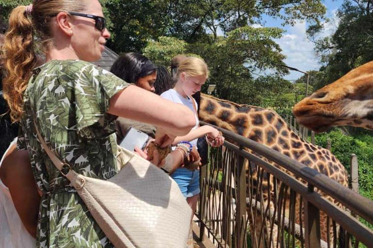 Nairobi: Giraffe Centre Visit and Giraffe Feeding Experience Nairobi: Interactive Giraffe Feeding & Wildlife Education