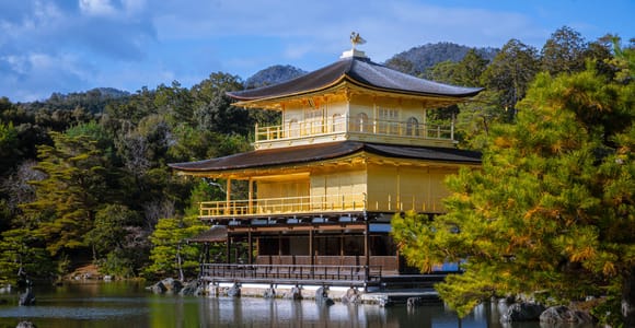 Kyoto: Private Bike Tour of the Golden and Silver Pavilions and Centuries-Old Bonsai Trees