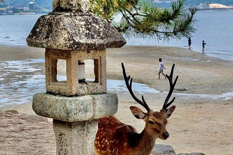 Osaka/Kyoto: Hiroshima & Miyajima UNESCO Sites Private Tour