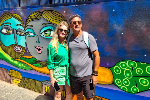 Santiago: Valparaíso Cruise Port Transfer & Vineyard Tour