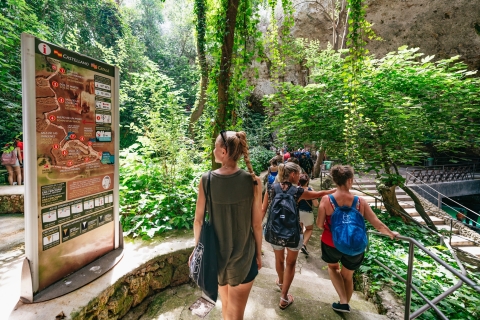 Mallorca: Excursión de un día a las Cuevas del Drach y cuevas opcionales del HamsCuevas del Drach y Hams: tour de día completo