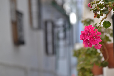 Desde Córdoba: Excursión privada de medio día a los Pueblos Blancos