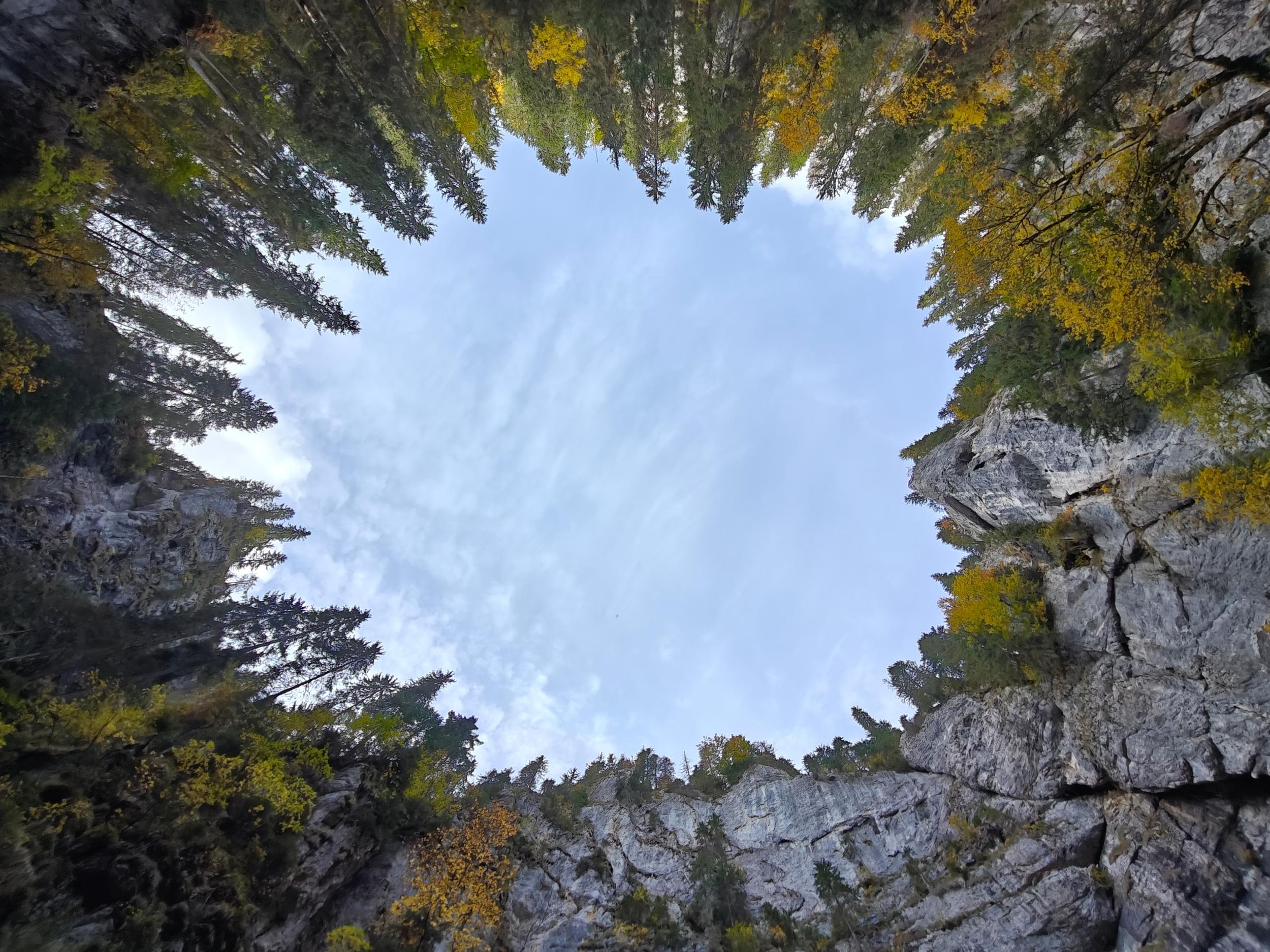 Ab Cluj: 4-tägige Wandertour im Apuseni-Nationalpark