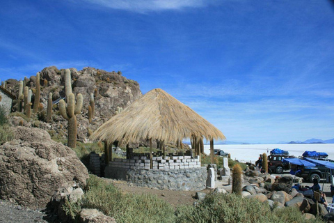 Från Uyuni: Salar de Uyuni med Incahuasi-ön - heldag