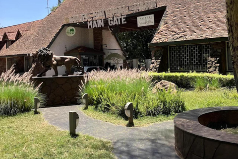 Nairobi National Park Luxury Picnic Game Drive
