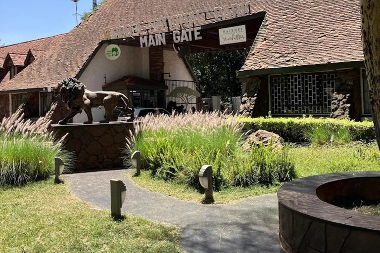Nairobi National Park Luxury Picnic Game Drive
