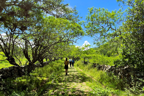 Barichara Freetour: The most beautiful town in Colombia (based on tips) English FreeTour Barichara