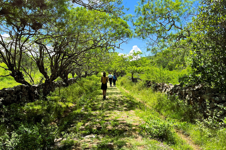 Barichara Freetour: The most beautiful town in Colombia (based on tips) English FreeTour Barichara