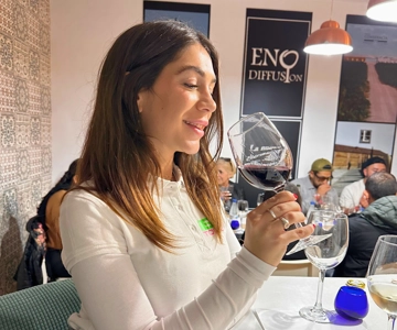 From Madrid: Toledo Tour with Wine Tasting and 3 Monuments