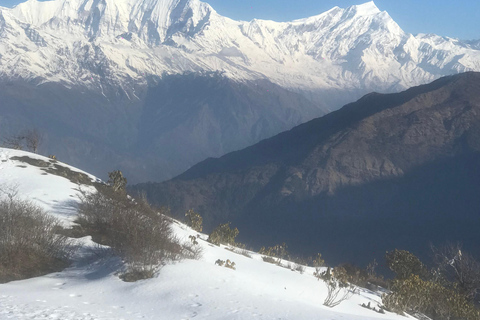 Poon hill Trek 1 Night 2 Days