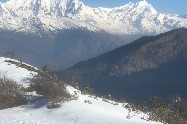 Poon hill Trek 1 Night 2 Days