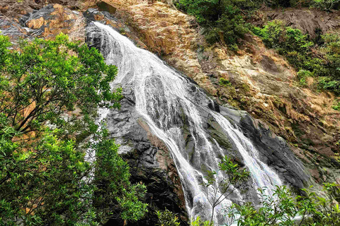 SIC Dudhsagar waterval en kruidenplantage dagtour