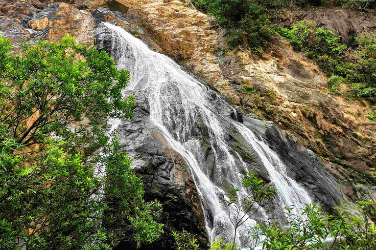 SIC Excursão de um dia à cascata de Dudhsagar e à plantação de especiarias