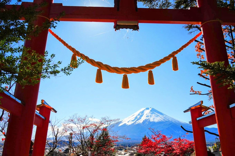 Tokio: Ganztagestour zu den vier majestätischen Orten des Mt. Fuji