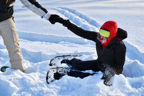 Rovaniemi: Snowshoeing Tour with Wild Lunch and Hotel Pickup