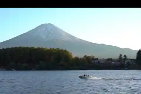Luxury Benz Private Day Trip to Mount Fuji with Guide