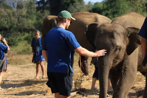 Chiang Mai: Half-Day Elephant Sanctuary & Bamboo Rafting