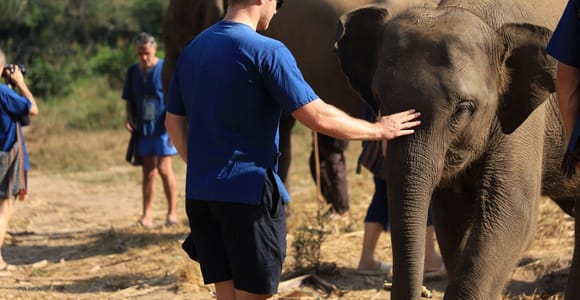 Chiang Mai: Elephant Sanctuary & Bamboo Rafting