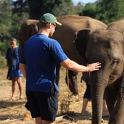 Chiang Mai: Elephant Sanctuary Bamboo Raft & Pad Thai Cooking Chiang Mai: Elephant Sanctuary Bamboo Raft & Pad Thai Cooking