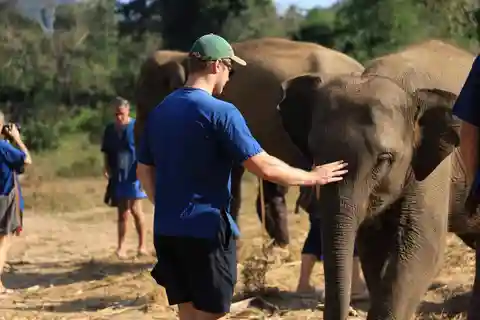 Chiang Mai: Half-Day Elephant Sanctuary & Bamboo Rafting