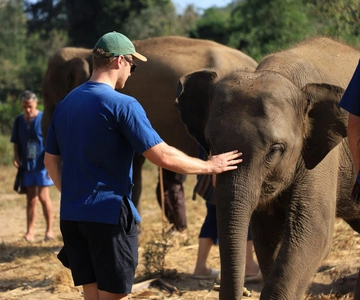 Chiang Mai: Half-Day Elephant Sanctuary & Bamboo Rafting