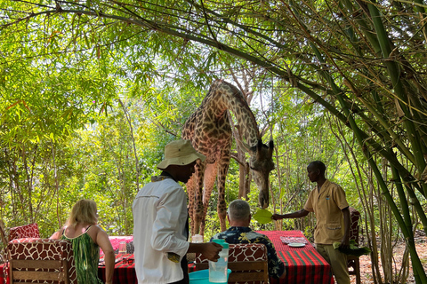 DIANI: EINE MAHLZEIT MIT GIRAFFEN TEILENEINE MAHLZEIT MIT GIRAFFEN TEILEN