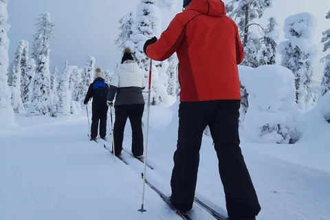 Kittilä: Esquí de fondo de Laponia Levi para principiantes