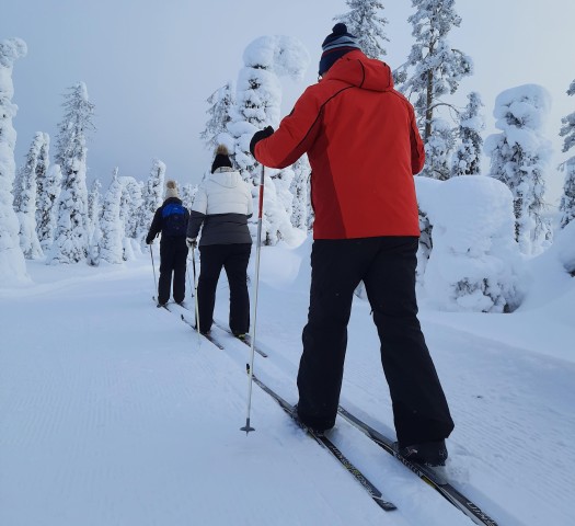 Visit Lapland Levi Cross-country Skiing for Beginners in Kittilä